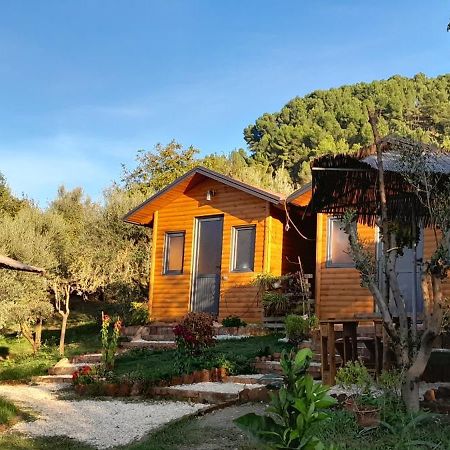 Hostal Bujtina Musta Berat Exterior foto