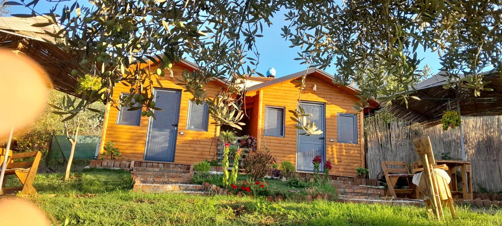 Hostal Bujtina Musta Berat Exterior foto